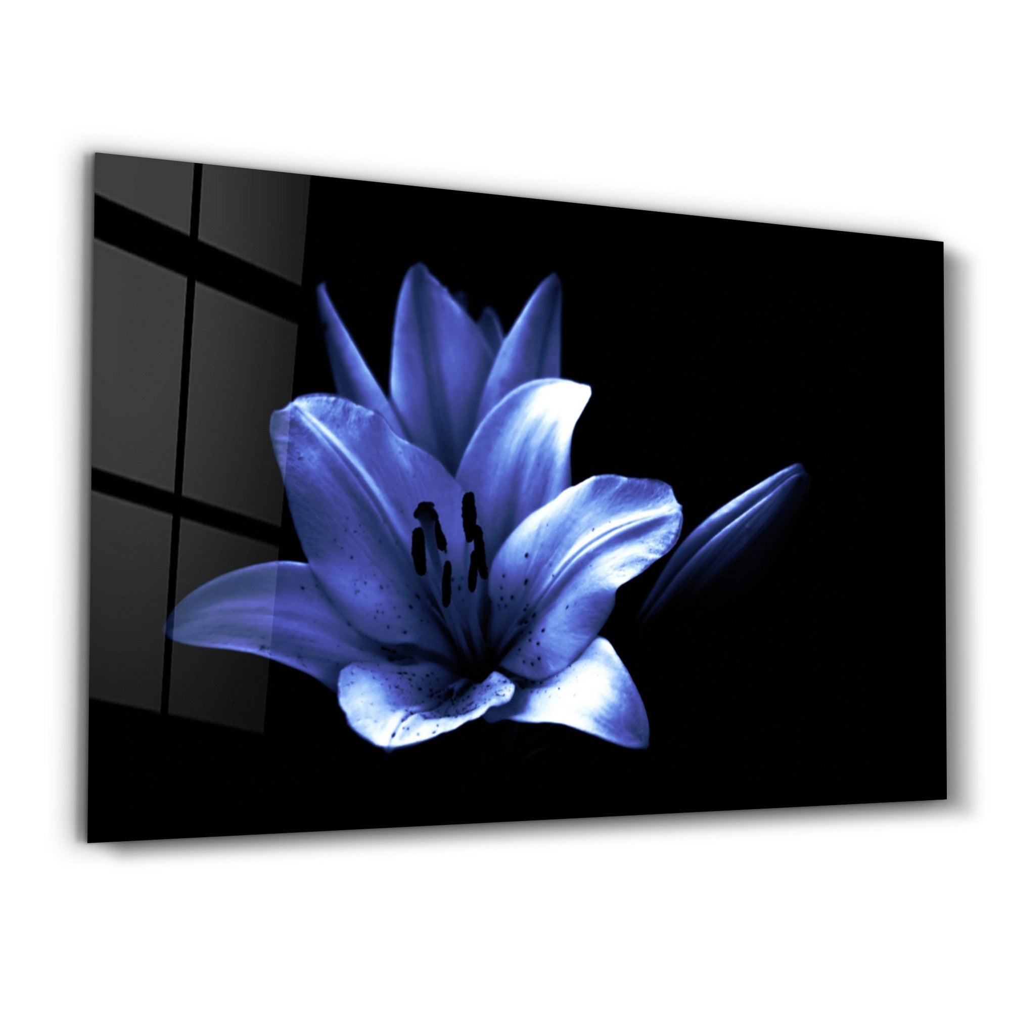 Quadro Decorativo em Vidro Temperado OGLS-2047 Multicolor 35x55cm - Impressão UV de Alta Qualidade