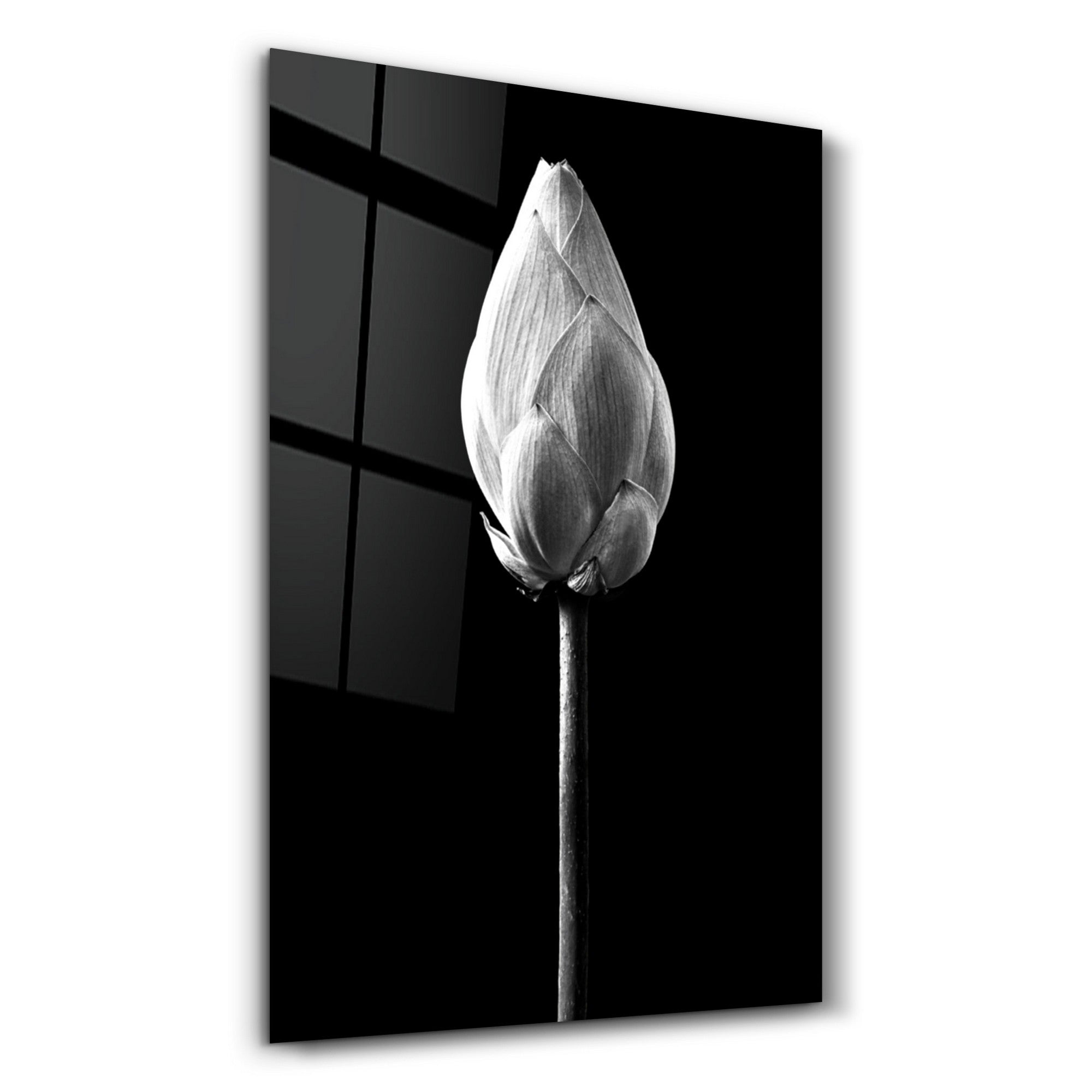 Arte Decorativa em Vidro Temperado Multicolor 35x55cm - Impressão UV de Alta Qualidade