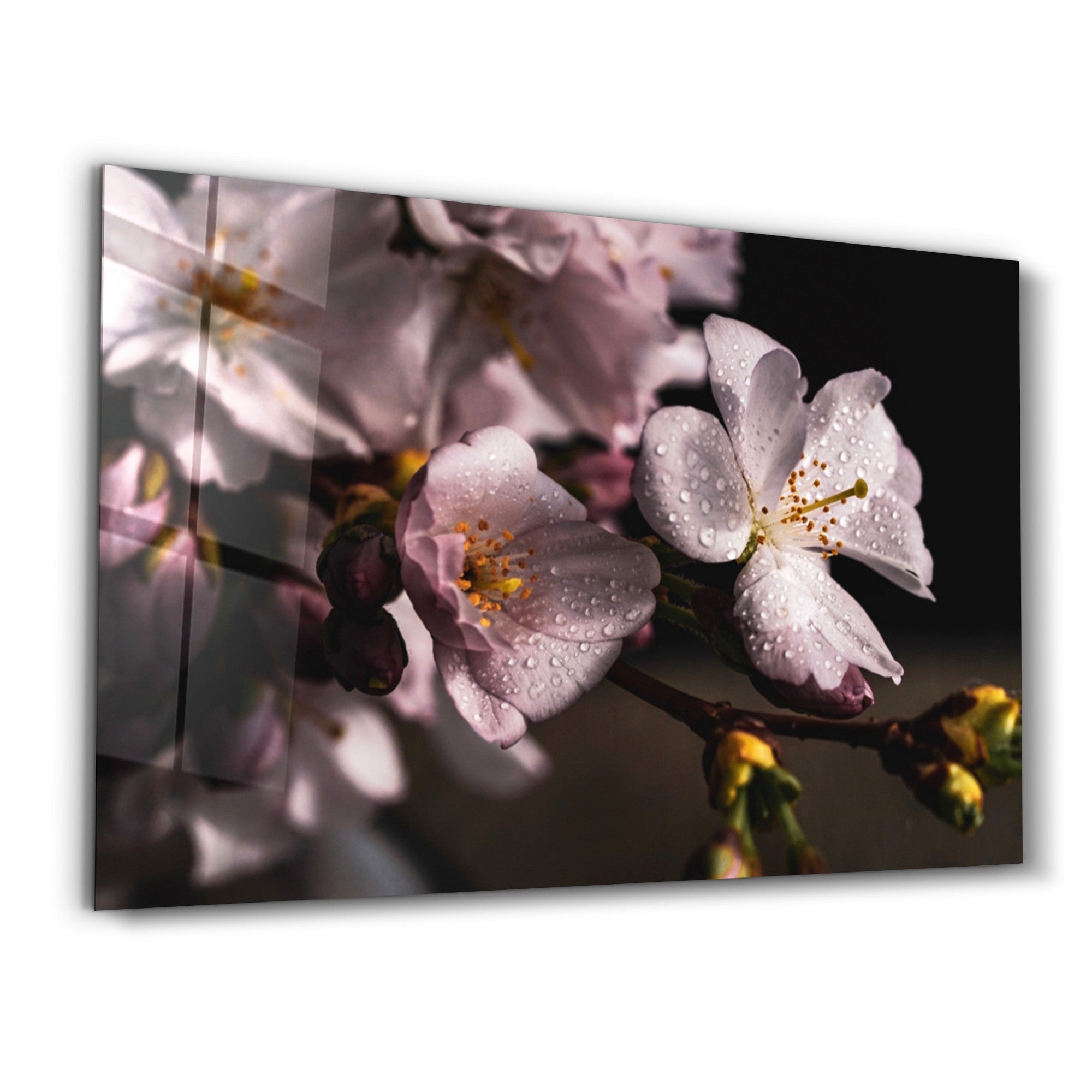 Quadro Decorativo em Vidro Temperado Multicolor 35x55cm - Impressão UV de Alta Qualidade