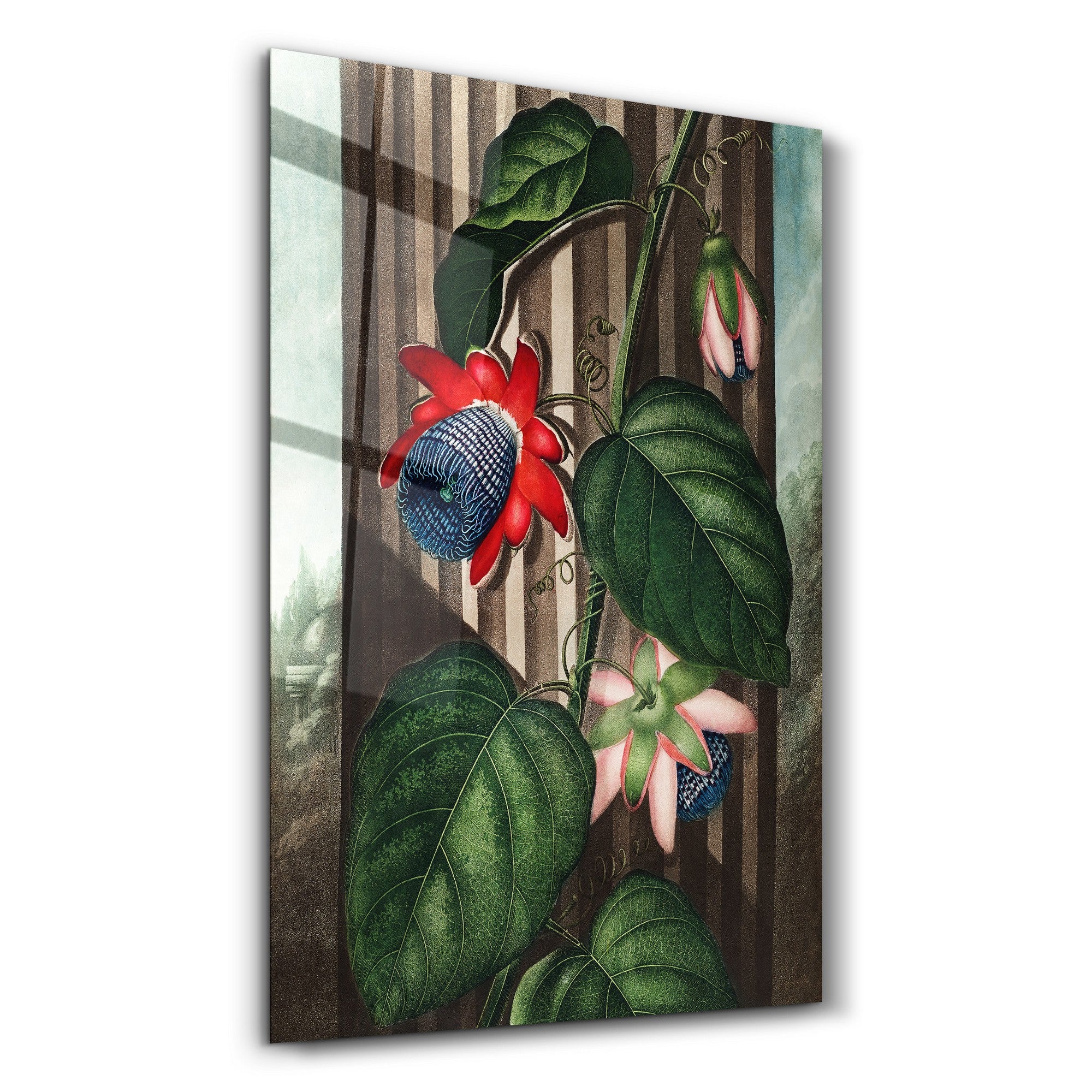 Arte Decorativa em Vidro Temperado Multicolor 70x110cm - Impressão UV de Alta Qualidade