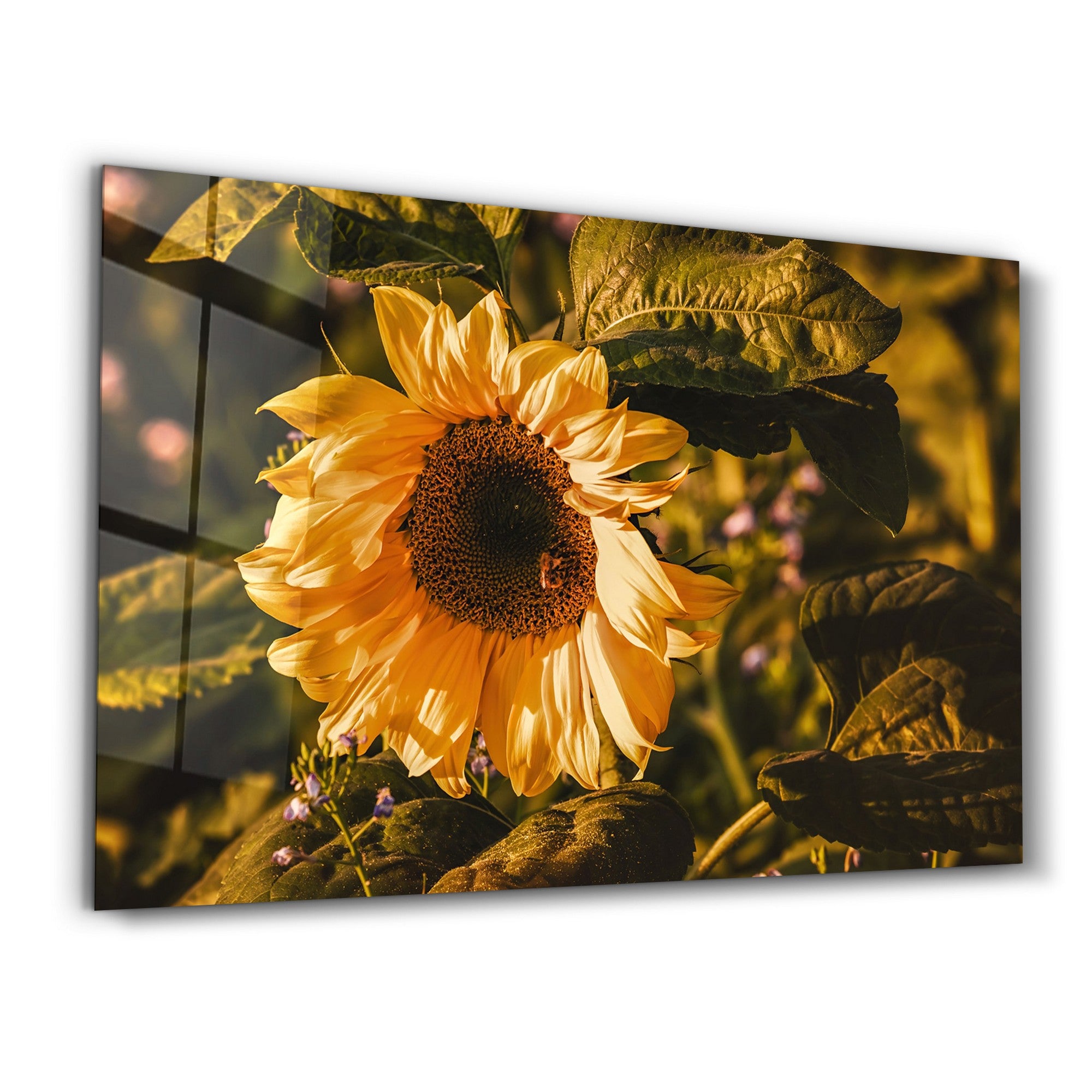 Quadro Decorativo em Vidro Temperado Multicolor VFT-2043 (35 x 55 cm) – Impressão UV, Vidro 4 mm