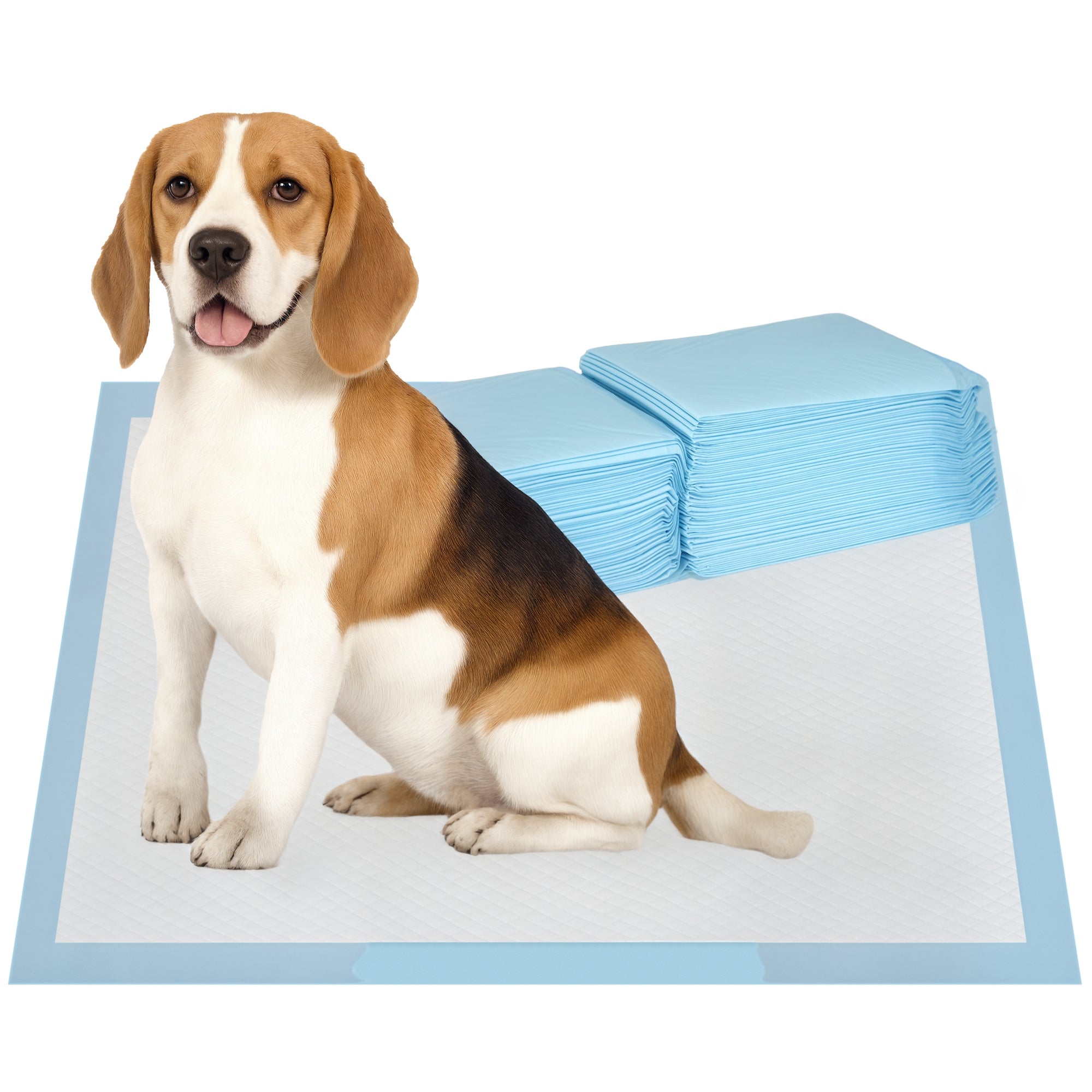 Resguardos de Treino para Cães - 45x60 cm - Azul