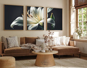 Quadro Decorativo MDF Emoldurado Multicolor 35x50cm - Conjunto 3 Peças Madeira Maciça