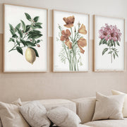 Quadro Decorativo MDF Emoldurado Multicolor 50x35cm - Conjunto 3 Peças Madeira Maciça
