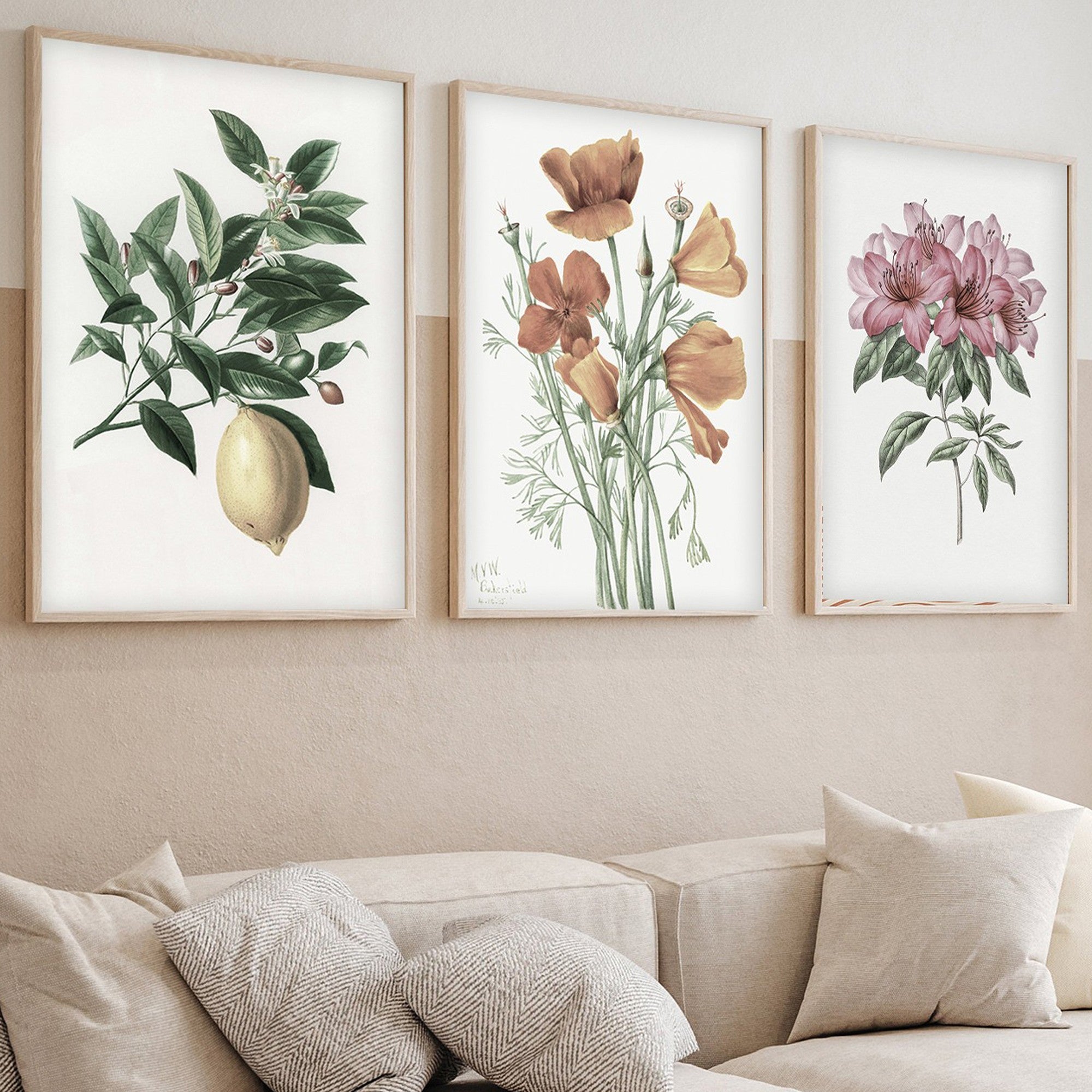Quadro Decorativo MDF Emoldurado Multicolor 50x35cm - Conjunto 3 Peças Madeira Maciça