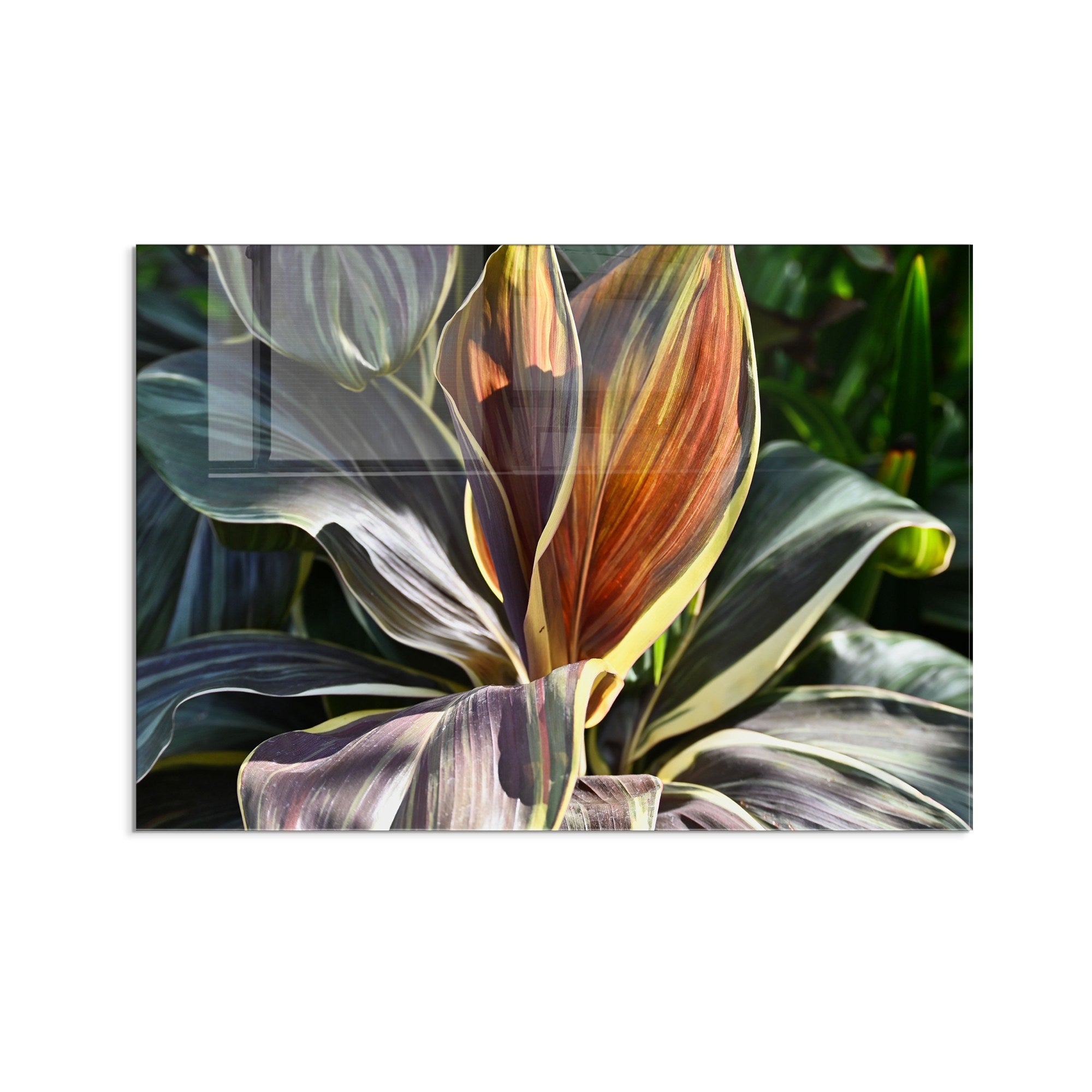 Quadro Decorativo em Vidro Temperado Multicolor 50x70cm - Arte Moderna para Decoração de Interiores