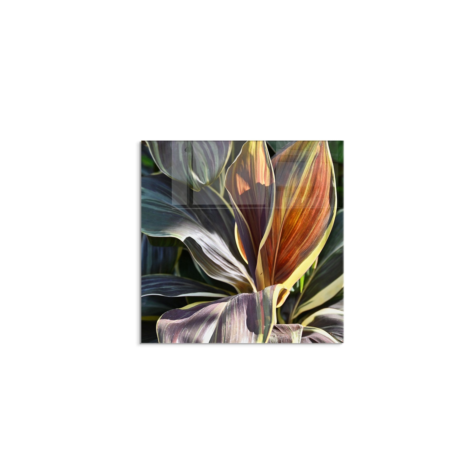 Quadro Decorativo em Vidro Temperado Multicolor 60 x 60 cm (4 mm) – 1152 - K