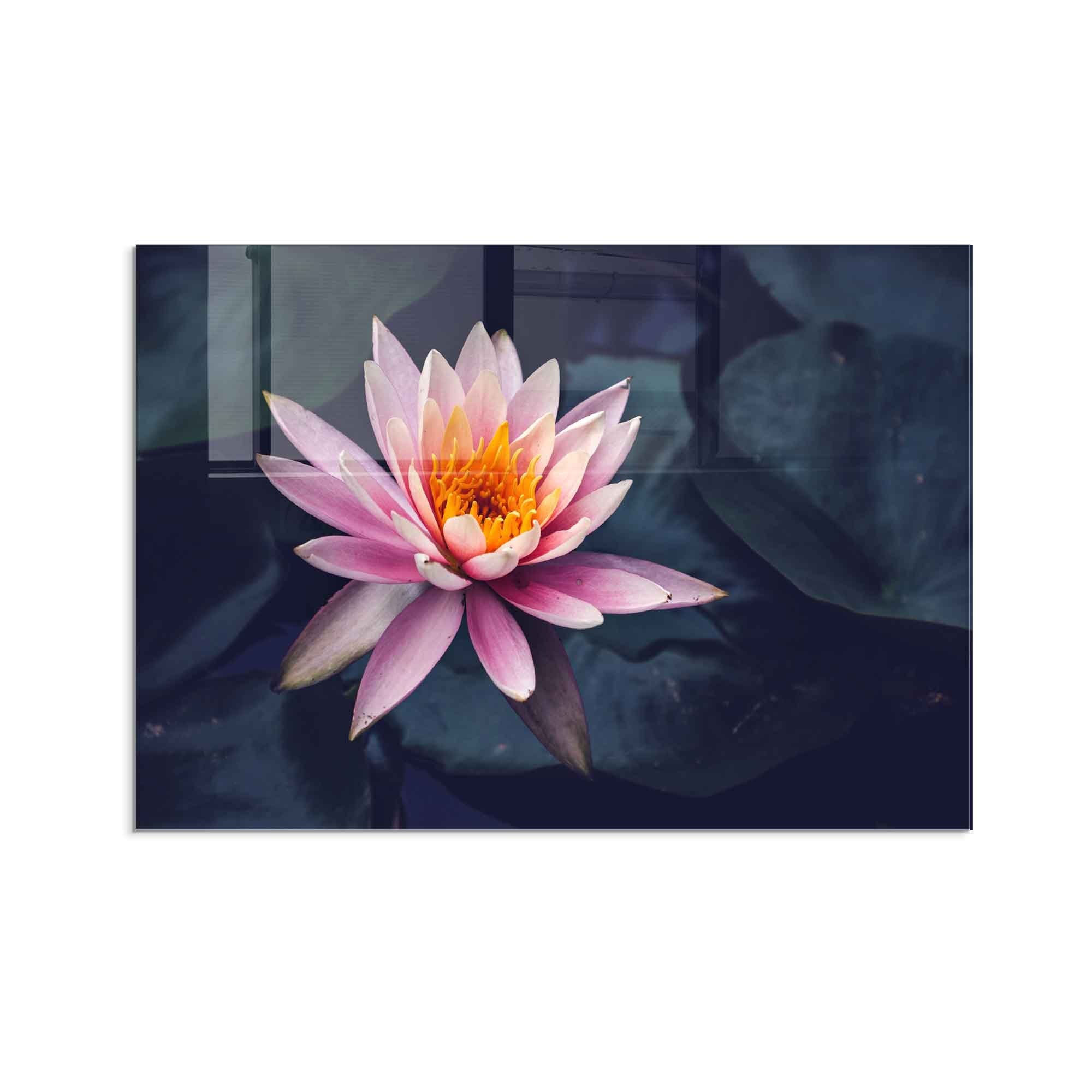 Quadro Decorativo em Vidro Temperado Multicolor 50x70cm - Arte Moderna para Decoração de Interiores