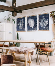 Conjunto de 3 Quadros Decorativos Multicolor SRG26 - Moldura em Madeira 40x60cm