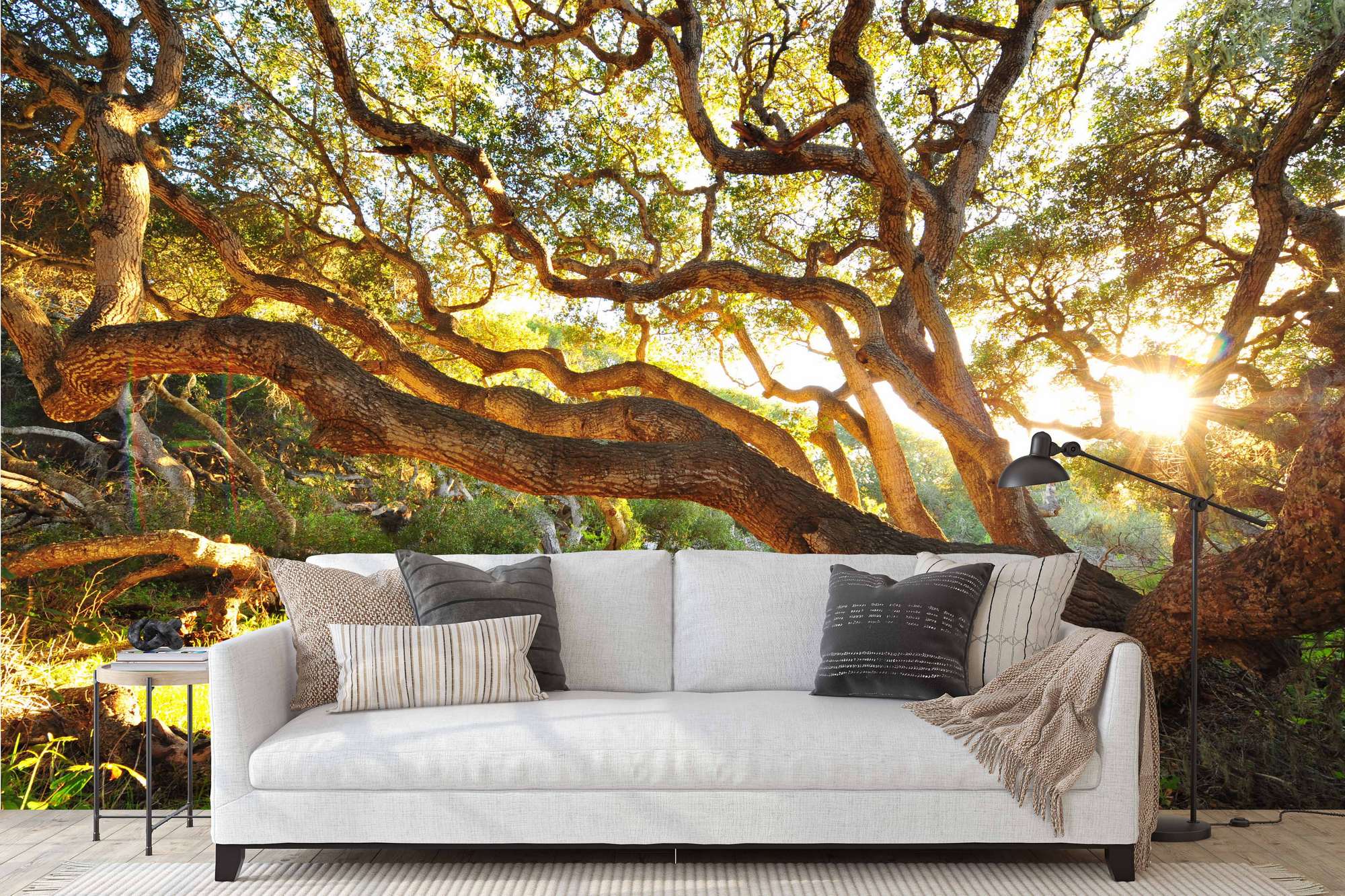 Mural de Parede Autocolante Multicolor 400x270cm - Vinil Premium MDK-00116