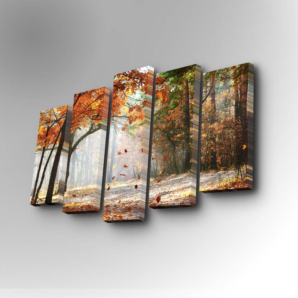 Conjunto Decorativo de 5 Telas em Canvas Multicolor - Pintura Artística com Moldura de Madeira para Decoração de Interiores