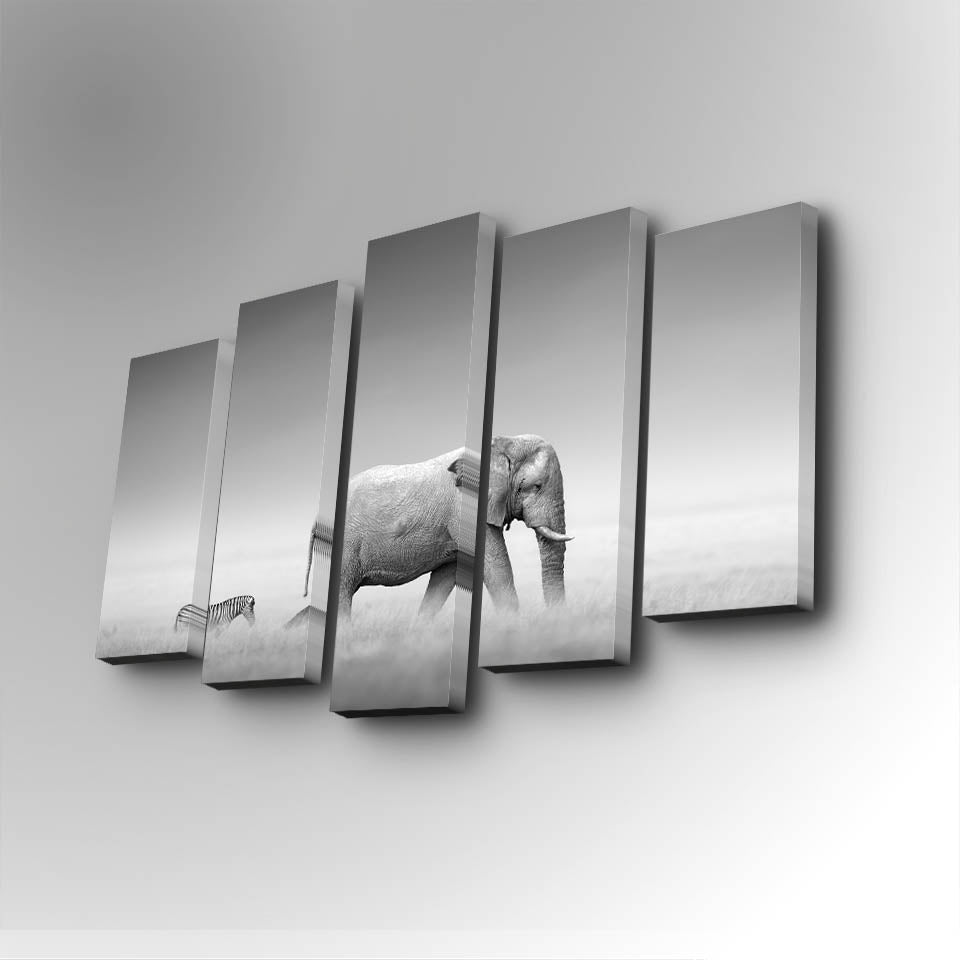 Quadro Decorativo em Tela (5 Peças) Multicolor — 82 x 50 cm, Tela Camurça 100%, Moldura de Madeira