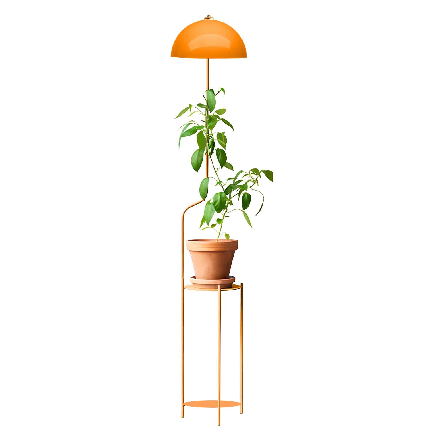 Candeeiro de Pé – 25 x 25 x 140 cm – Laranja – Metal