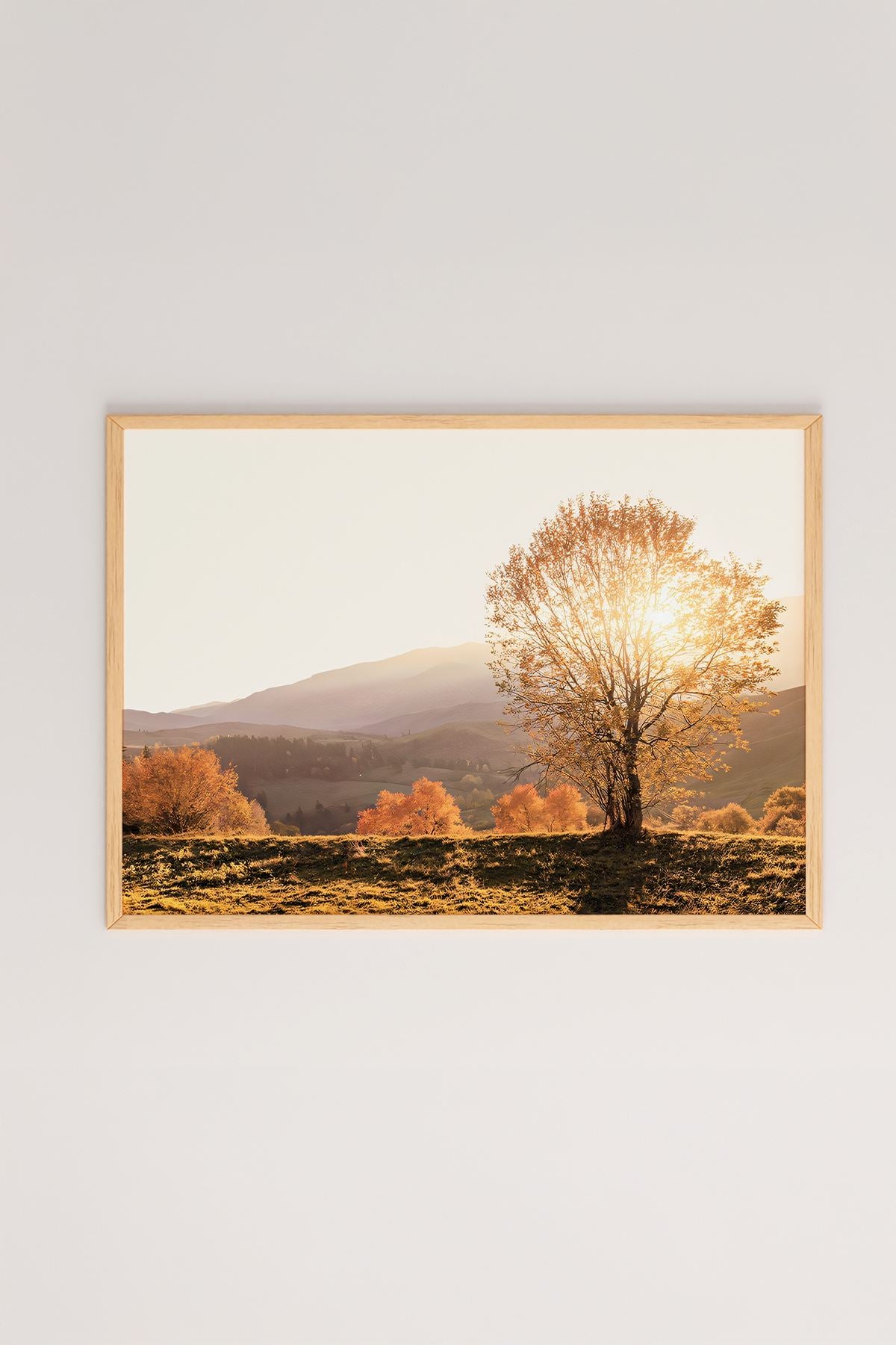 Quadro Decorativo Multicolor em Madeira Maciça - Arte Digital Emoldurada 33x48cm