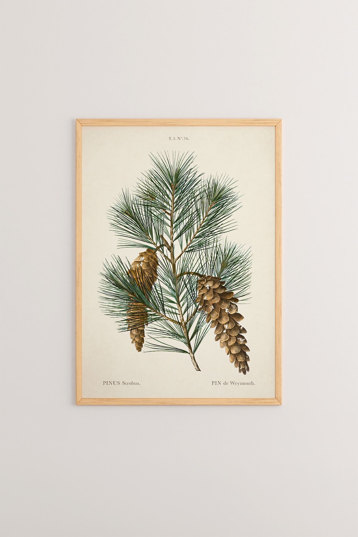 Quadro Decorativo Multicolor em Madeira Maciça - Impressão Digital Premium 33x48cm