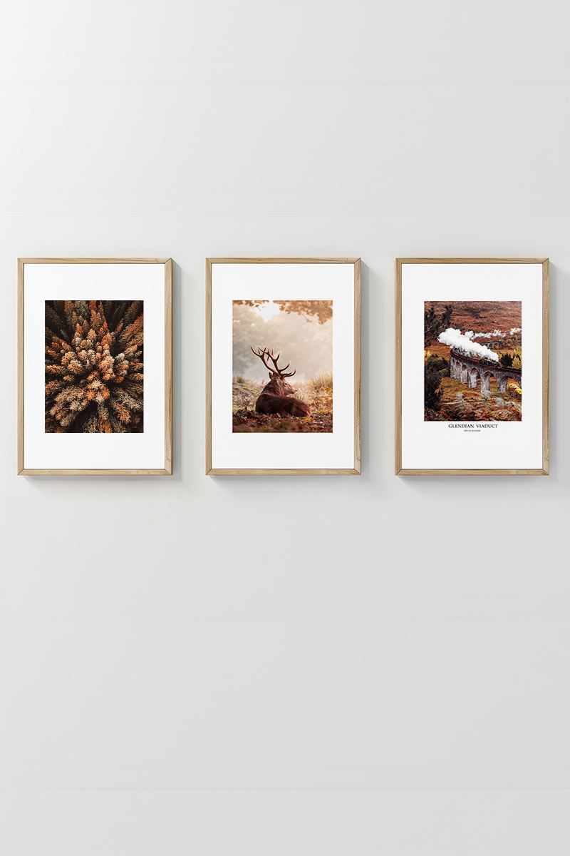 **Conjunto de 3 Quadros Decorativos Multicolor com Moldura de Madeira Maciça - 33x48cm**