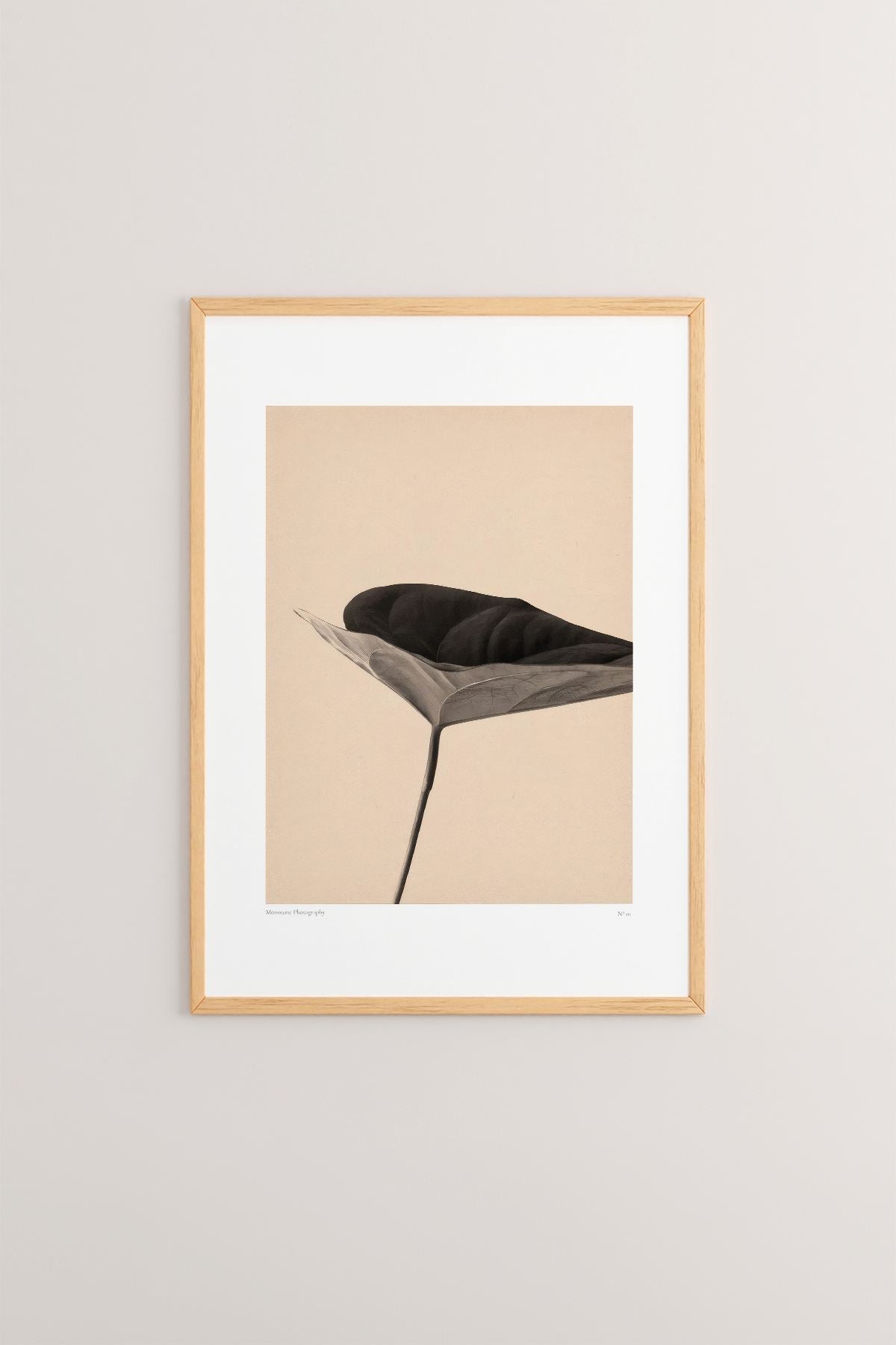 Lmnmdl44 Quadro Decorativo com Moldura de Madeira Maciça, Impressão Digital, Multicolor, 33x48 cm