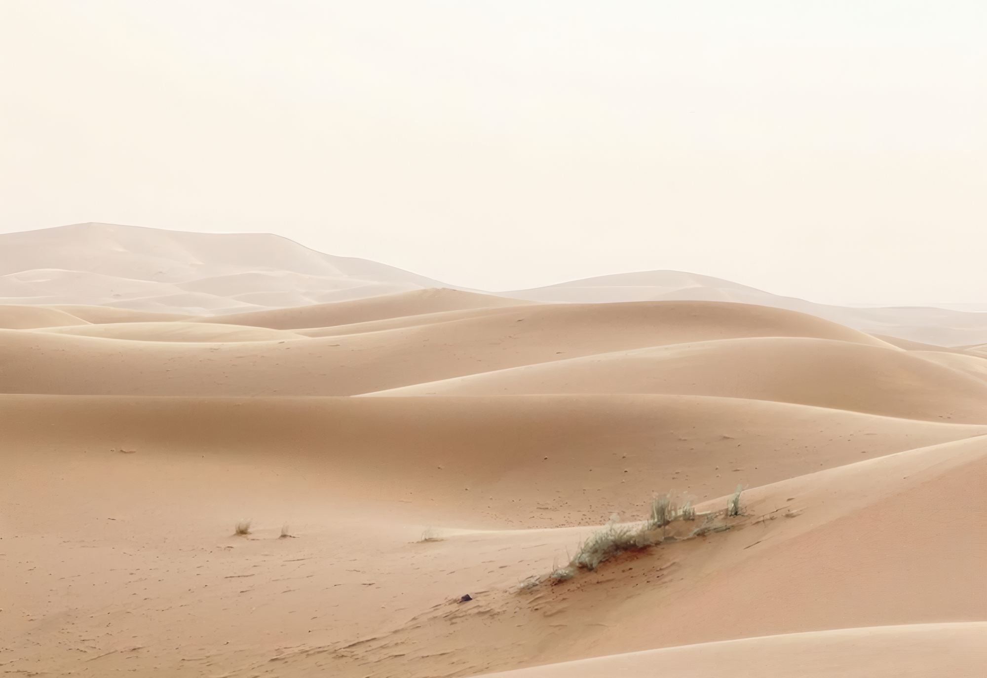 Quadro Decorativo Multicolor com Moldura de Madeira Maciça - 33x48cm - Impressão Digital de Alta Qualidade