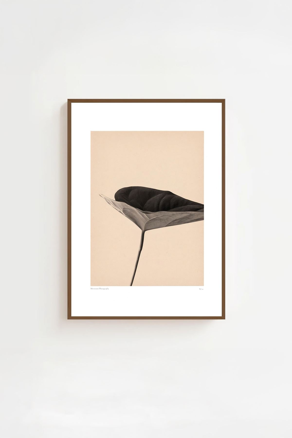 Quadro Decorativo Multicolor com Moldura de Madeira Maciça - Impressão Digital 33x48cm