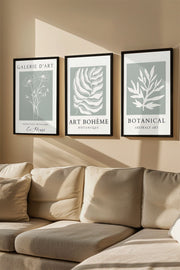 Conjunto de 3 Quadros Decorativos Multicolor com Moldura de Madeira Maciça - 33x48cm