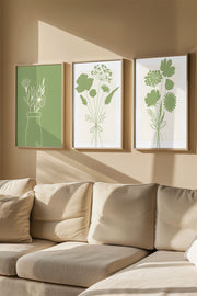 Quadro Decorativo Emoldurado Multicolor em Madeira Maciça - 3 Peças 33x48cm