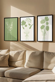 Quadro Decorativo Emoldurado Multicolor 3 Peças - Madeira Maciça 33x48cm