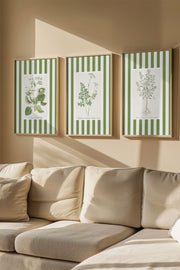 Conjunto de 3 Quadros Decorativos Multicolor com Moldura de Madeira Maciça - 33x48cm