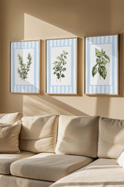 Conjunto de 3 Quadros Decorativos Multicolor com Moldura de Madeira Maciça - 33x48cm