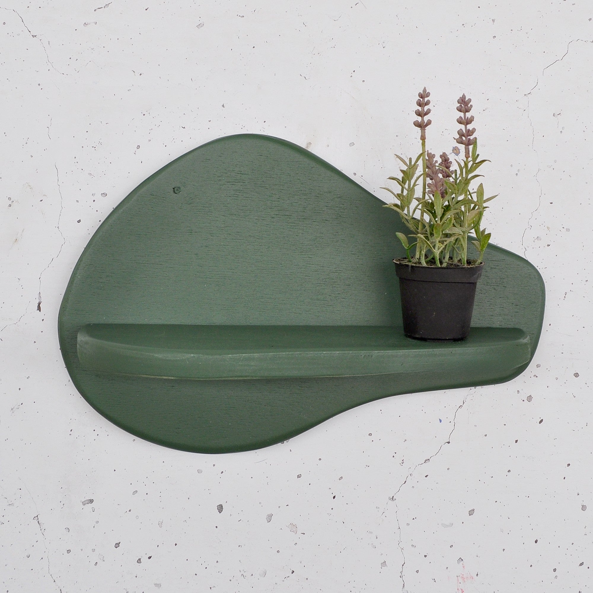 Prateleira de parede de madeira decorativa-Meh220-Verde