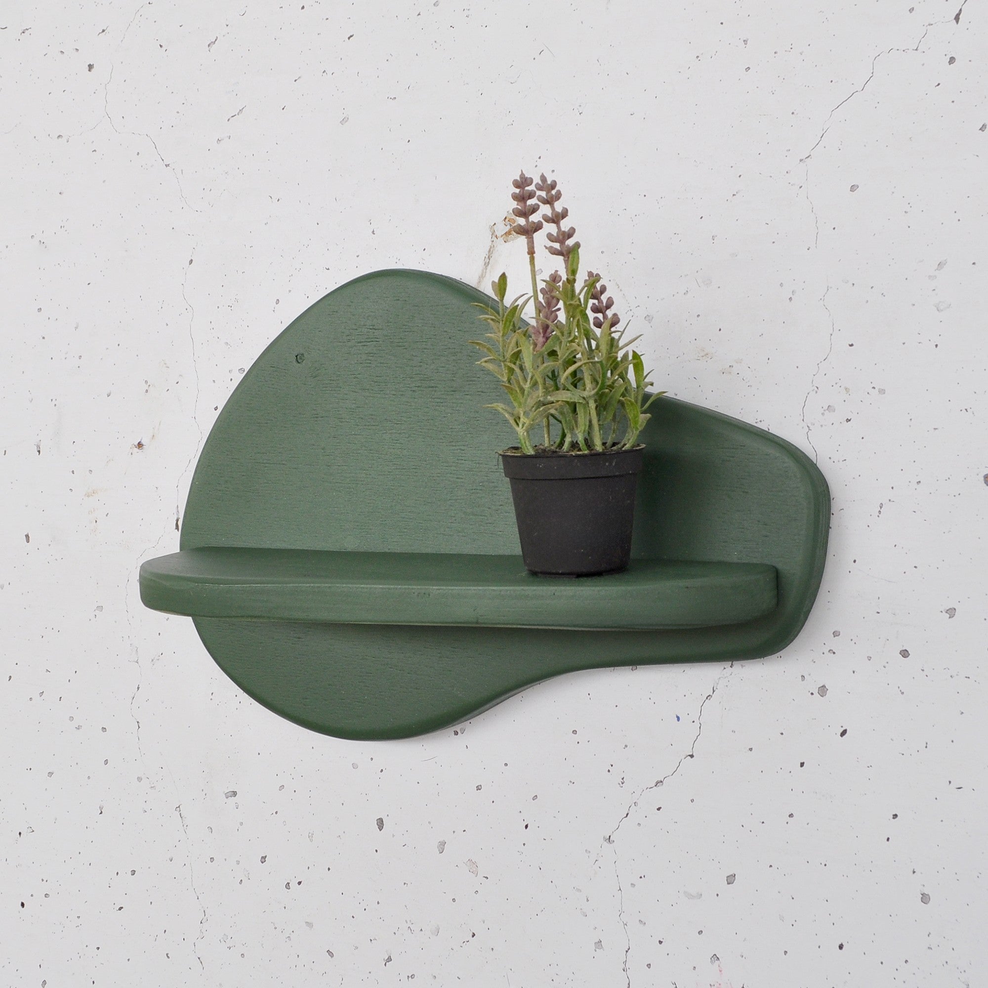 Prateleira de parede de madeira decorativa-Meh220-Verde