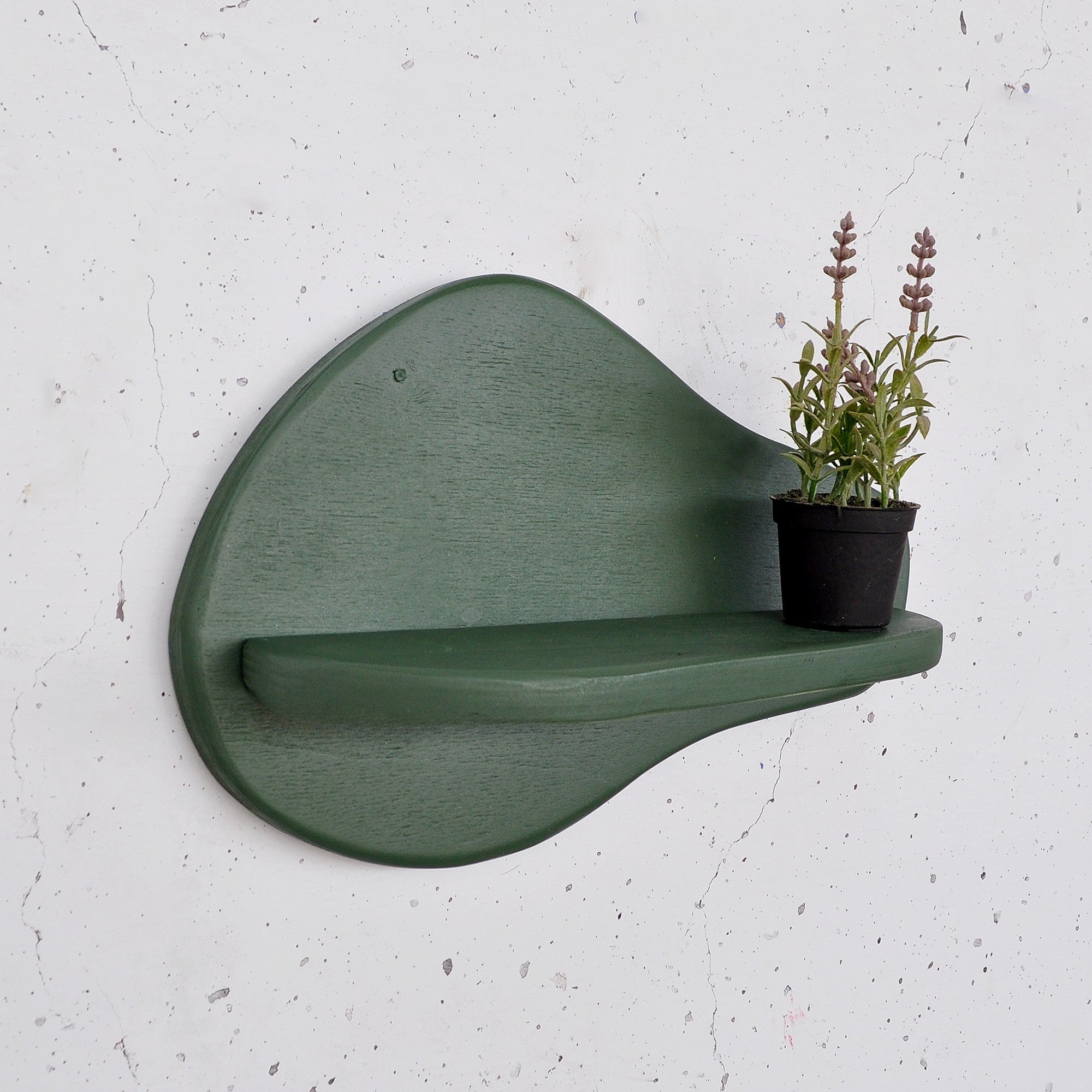 Prateleira de parede de madeira decorativa-Meh220-Verde