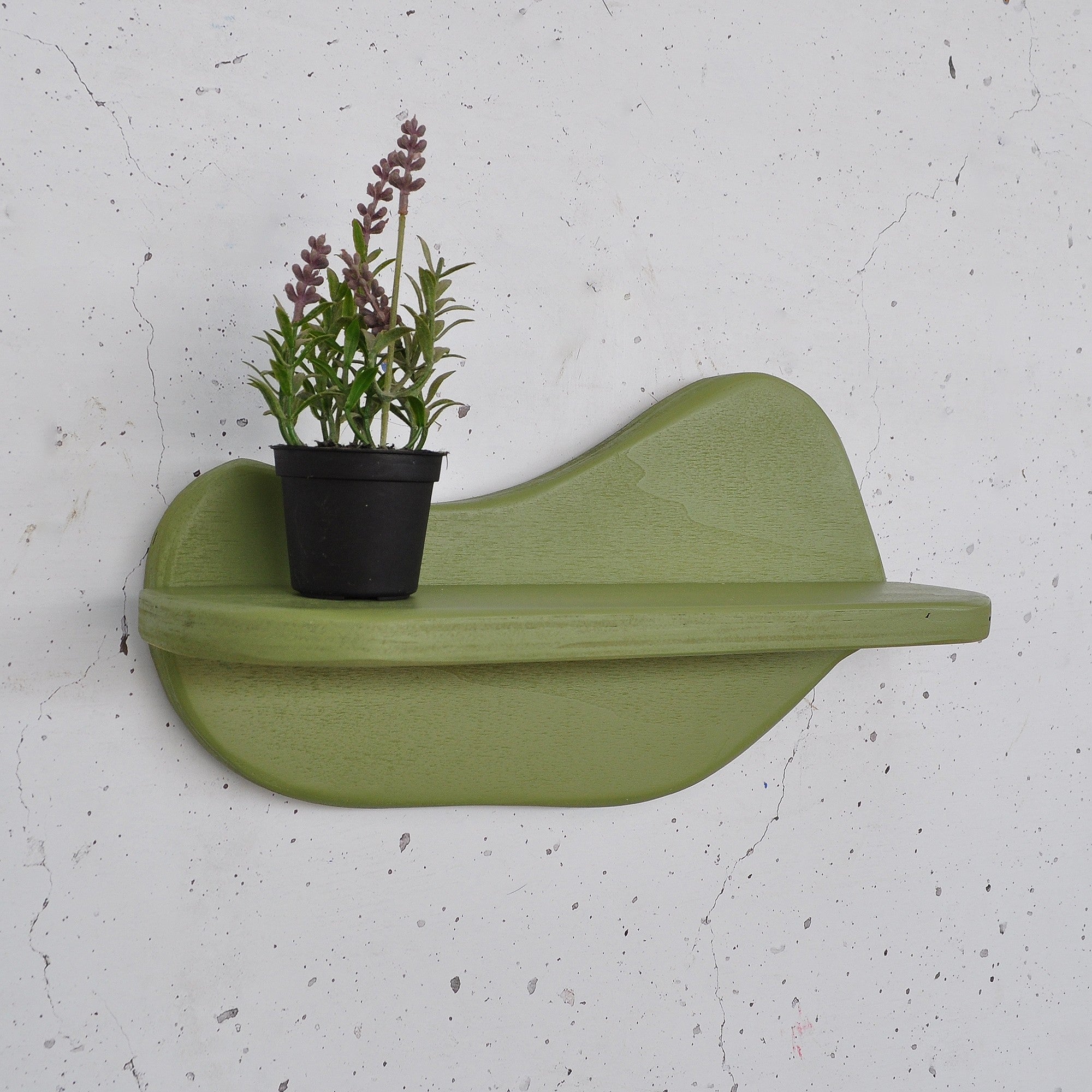 Prateleira de parede de madeira decorativa-Meh224-Verde claro