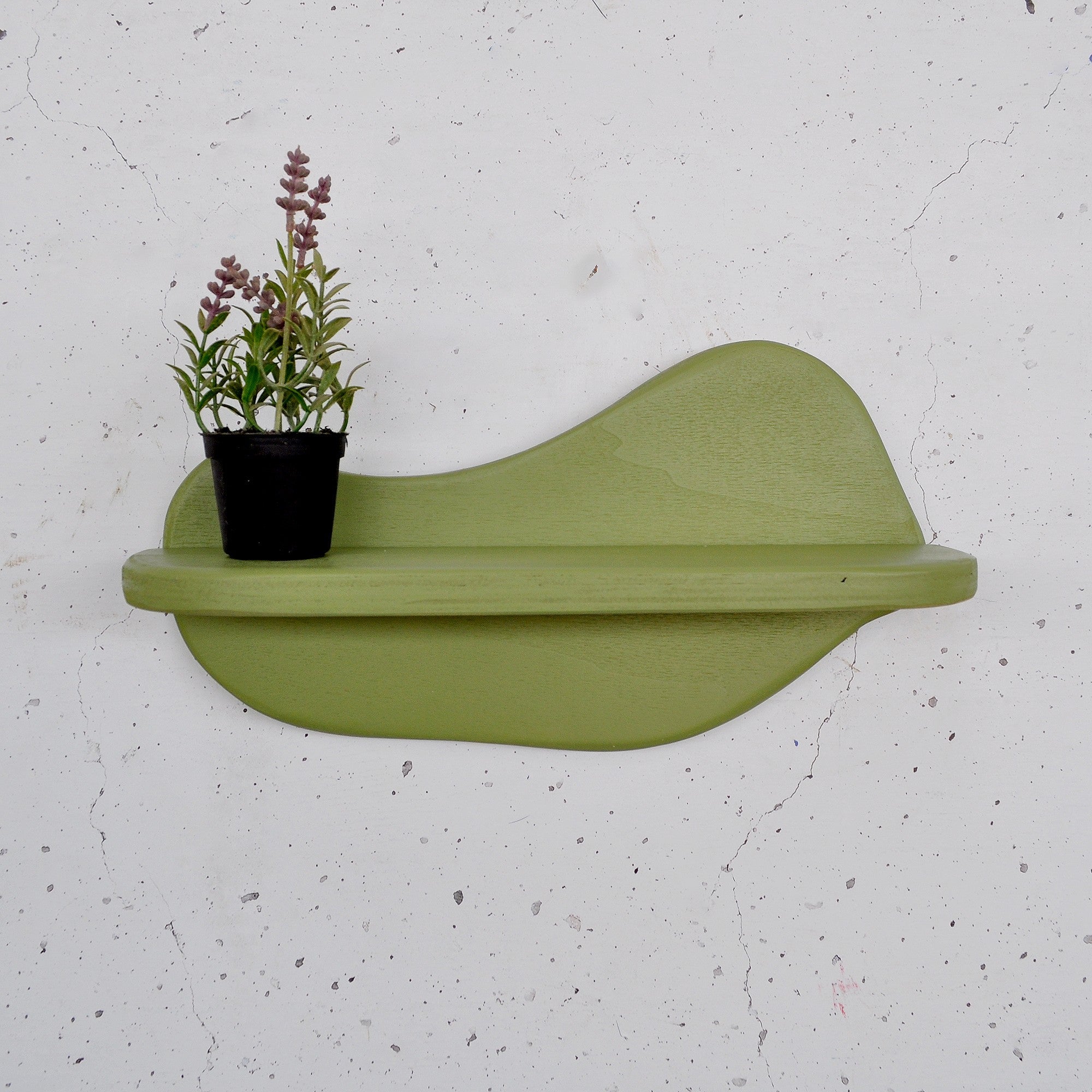 Prateleira de parede de madeira decorativa-Meh224-Verde claro