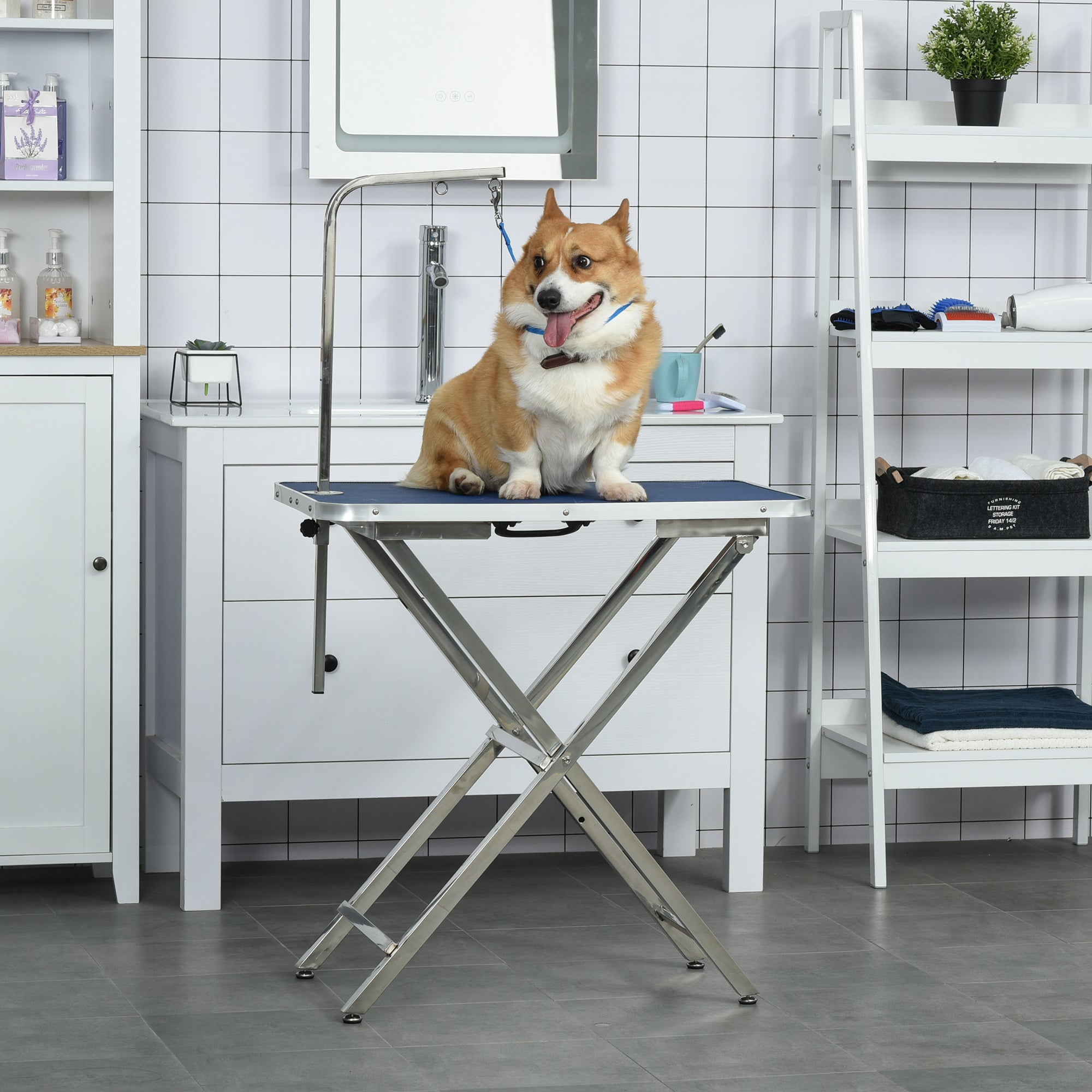 Mesa de Tosquia para Animais de Estimação 72x45x74-81 cm Azul