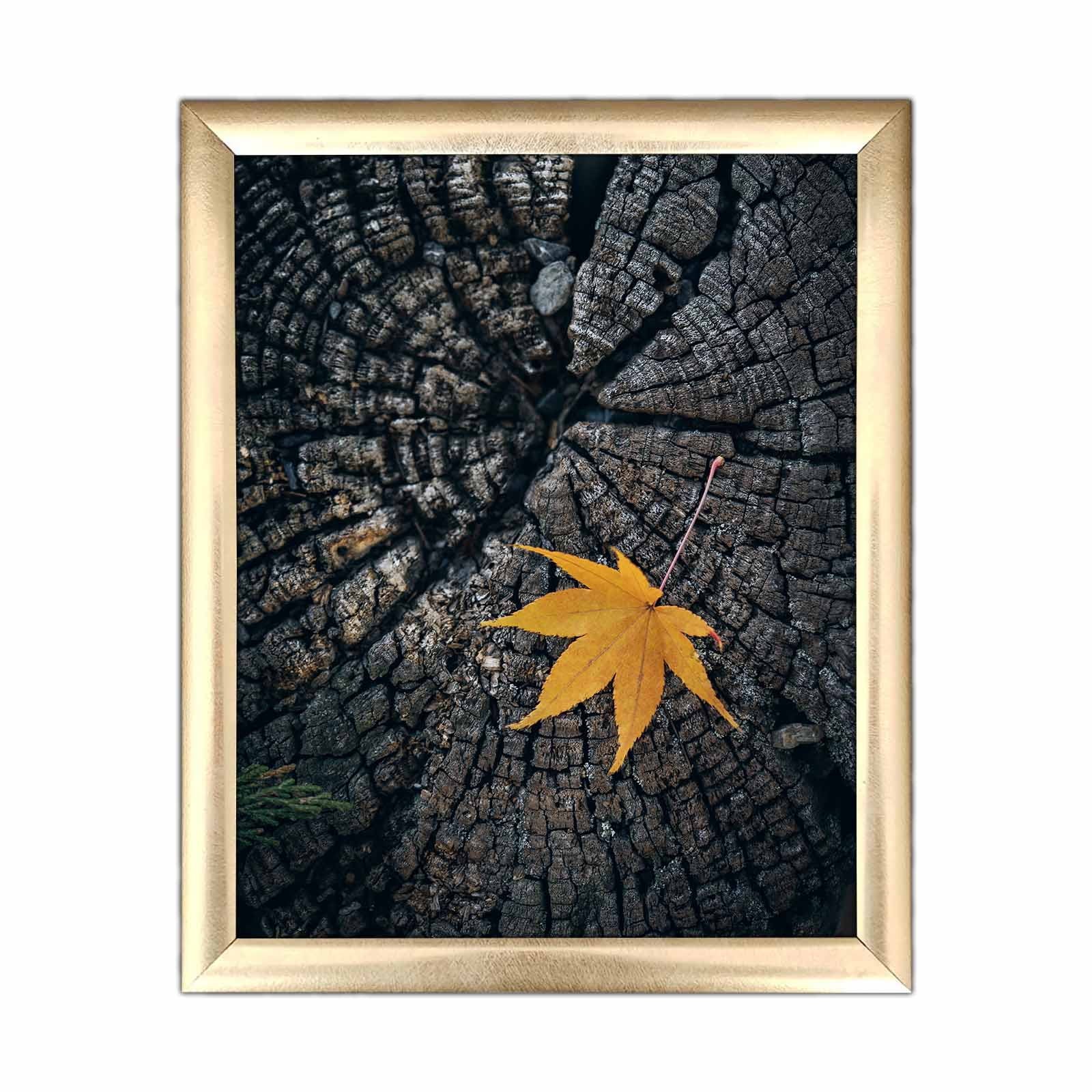 Quadro Decorativo MDF Multicolor com Moldura PVC 23,5x28,5cm - Arte Moderna para Decoração de Interiores