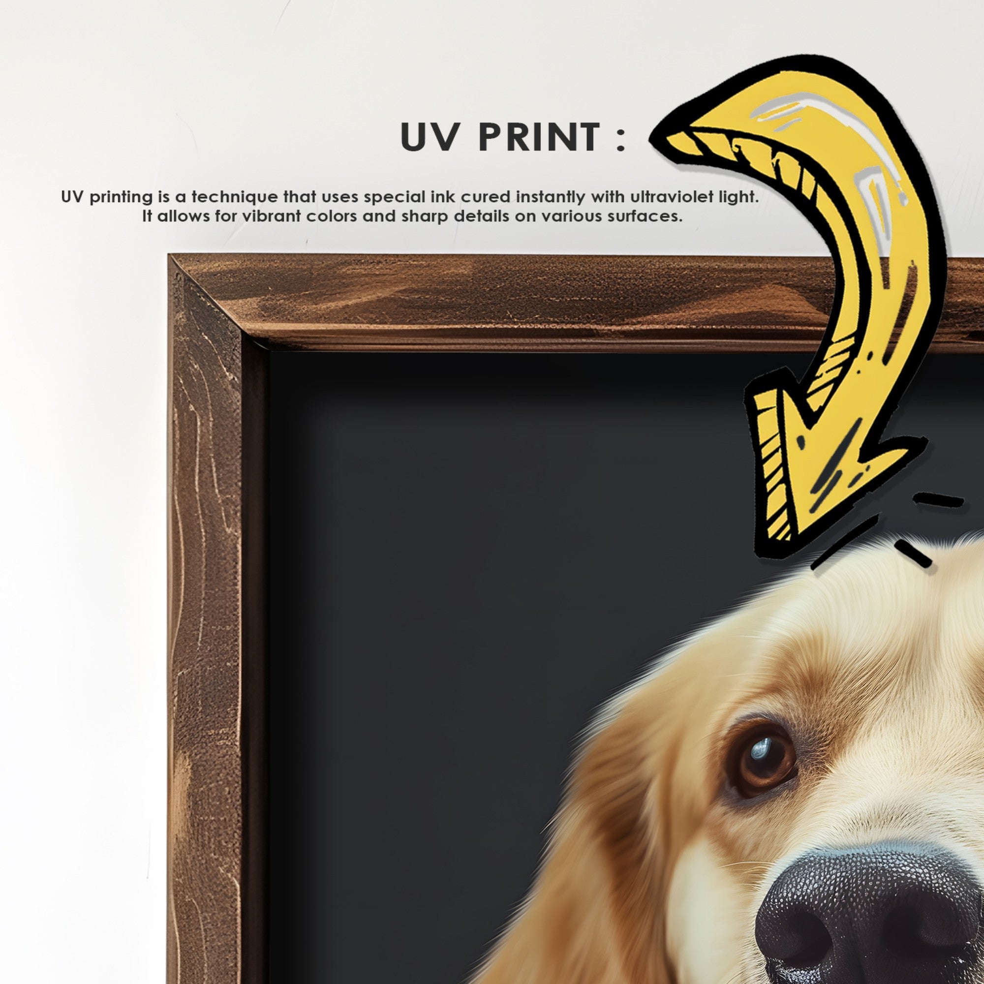 Quadro Decorativo MDF Emoldurado Multicolor 35x47cm - Impressão UV em Madeira de Pinho