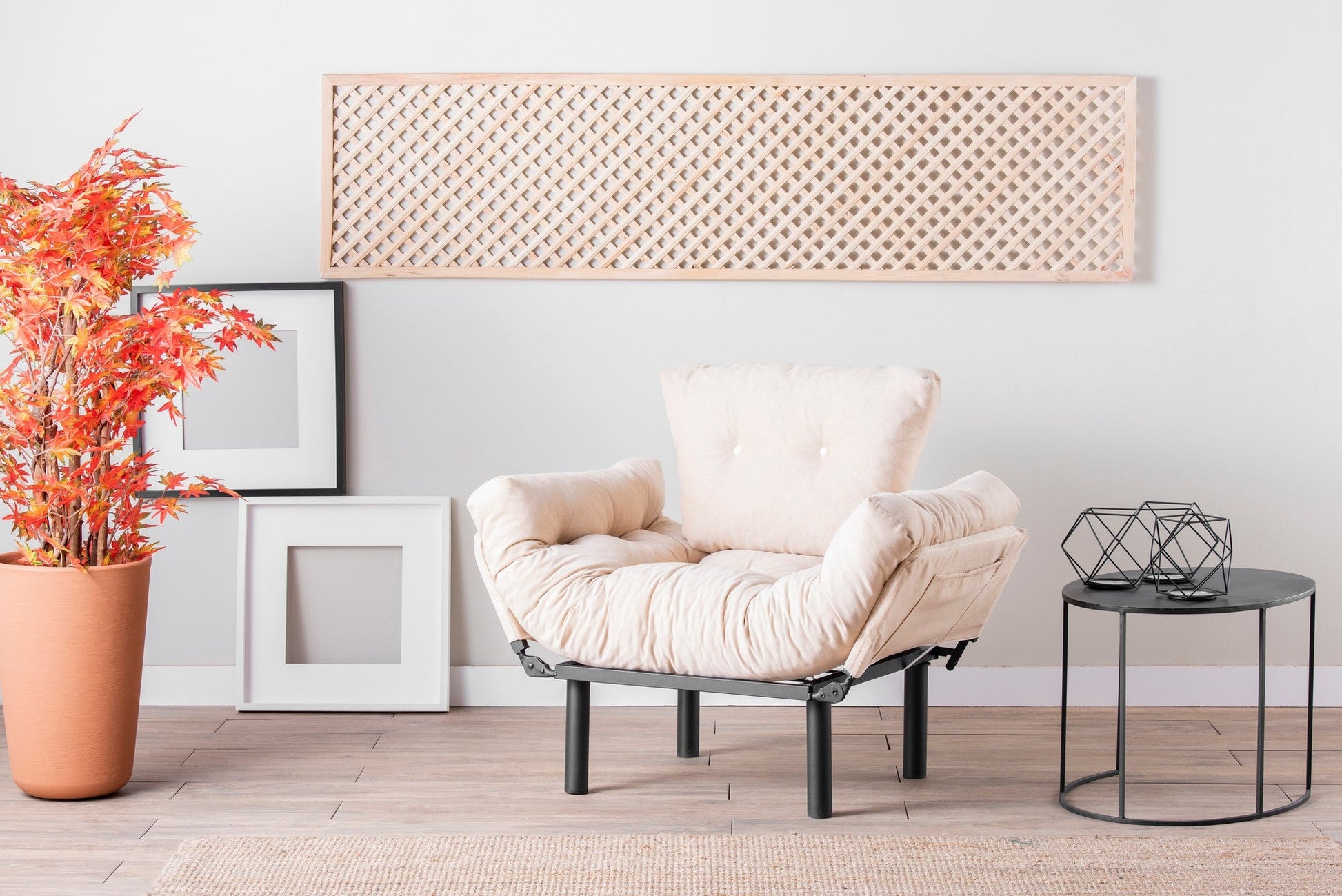 859FTN1731Tribo Home