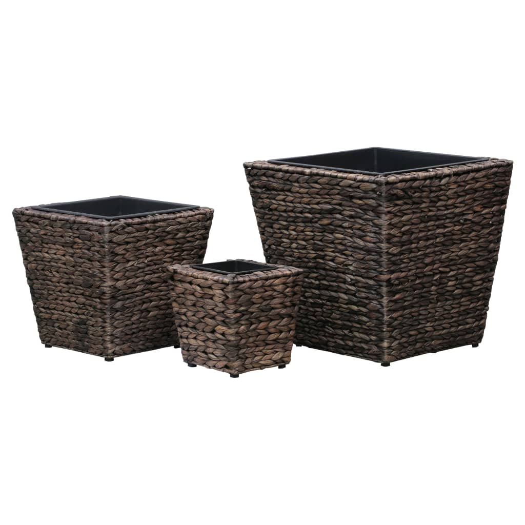 Vasos/floreiras 3 pcs jacinto de água castanho