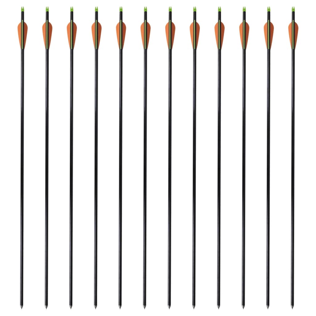 Flechas para arco composto padrão 12 pcs 30" 0,8 cm fibra de vidro