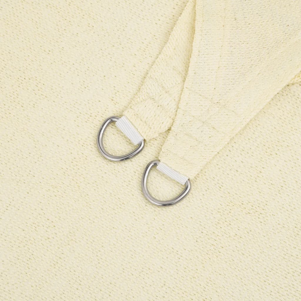 Para-sol estilo vela 160 g/m² 2,5x4 m PEAD antracite