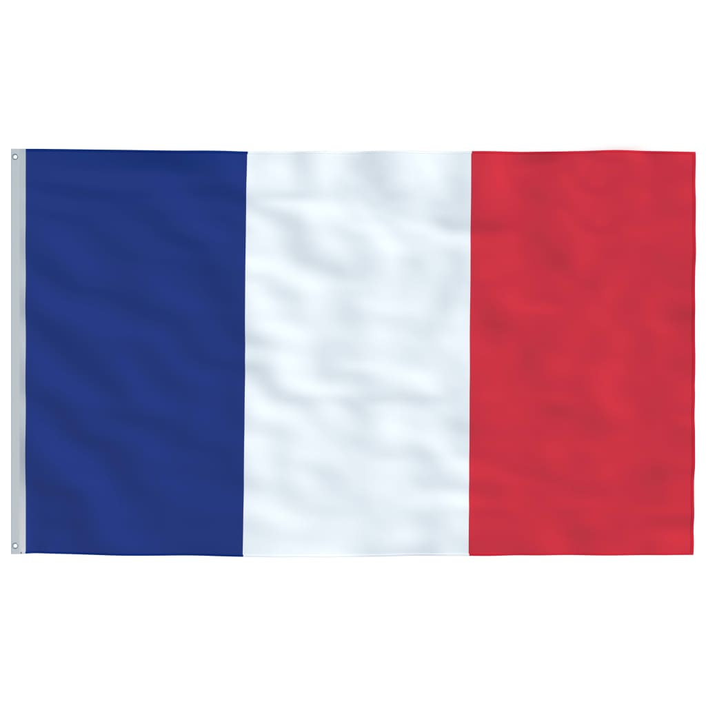 Bandeira da França e mastro 5,55 m alumínio