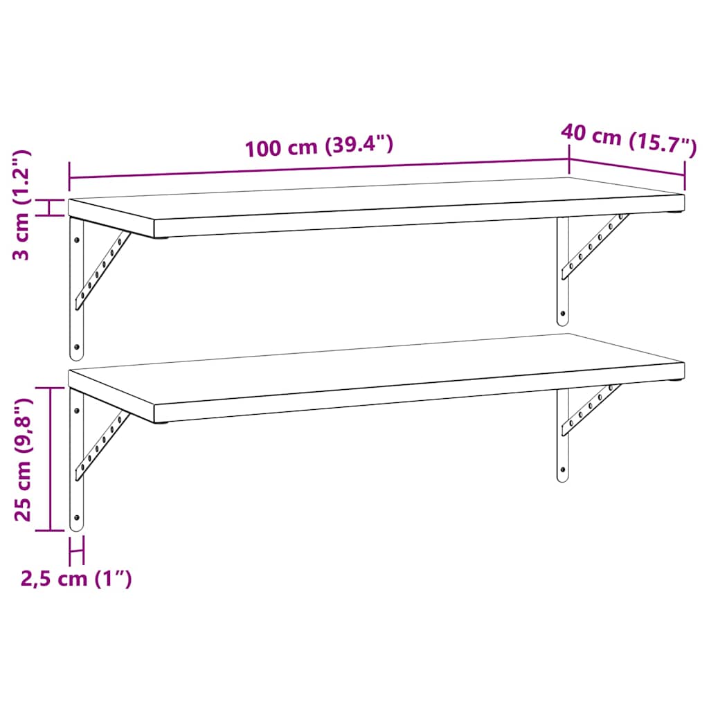 Prateleiras de parede 2 pcs 100x40 cm aço inoxidável prateado