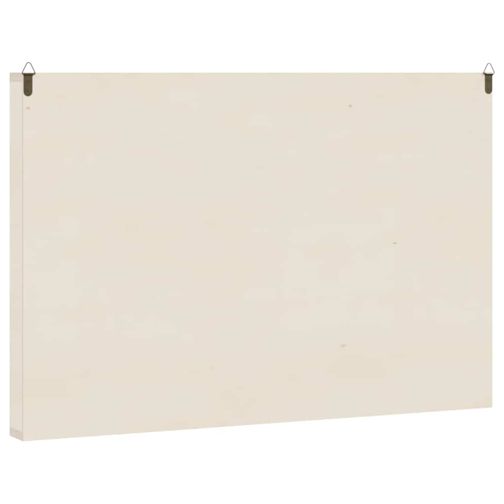 Vitrine de colecionador de madeira com 60 compartimentos 60x4,5x40,5cm
