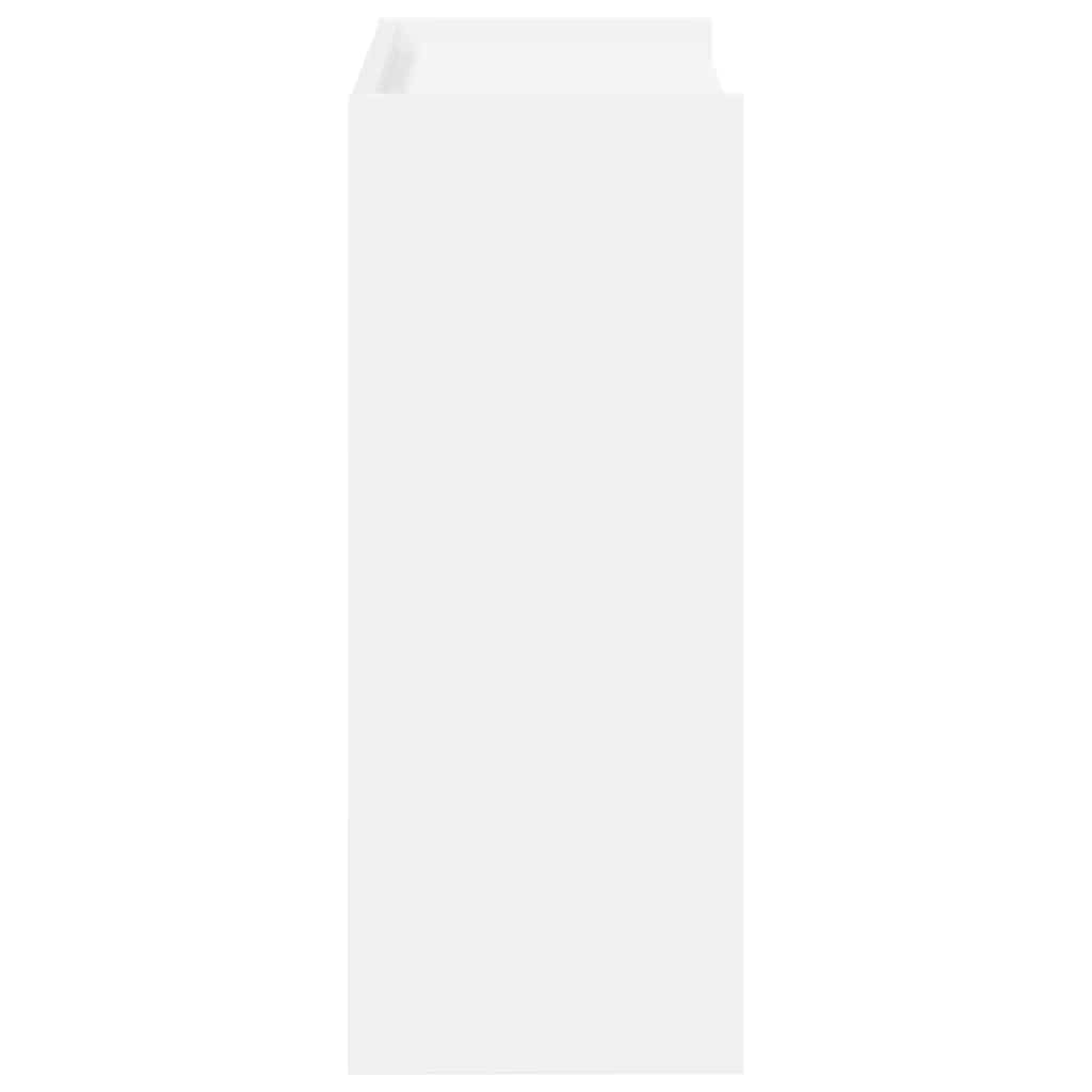 Sapateira 60x25x62 cm derivados de madeira branco