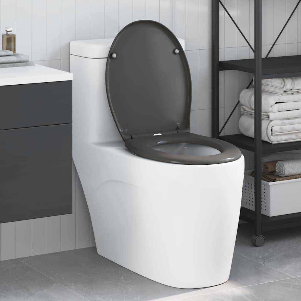 Assento de Toilette de Liberação Rápida Antracite