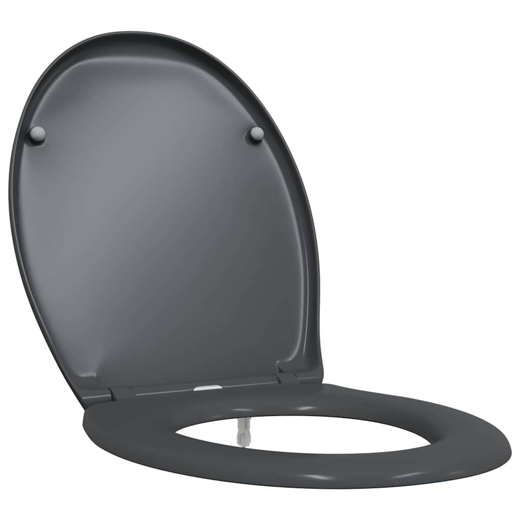Assento de Toilette de Liberação Rápida Antracite