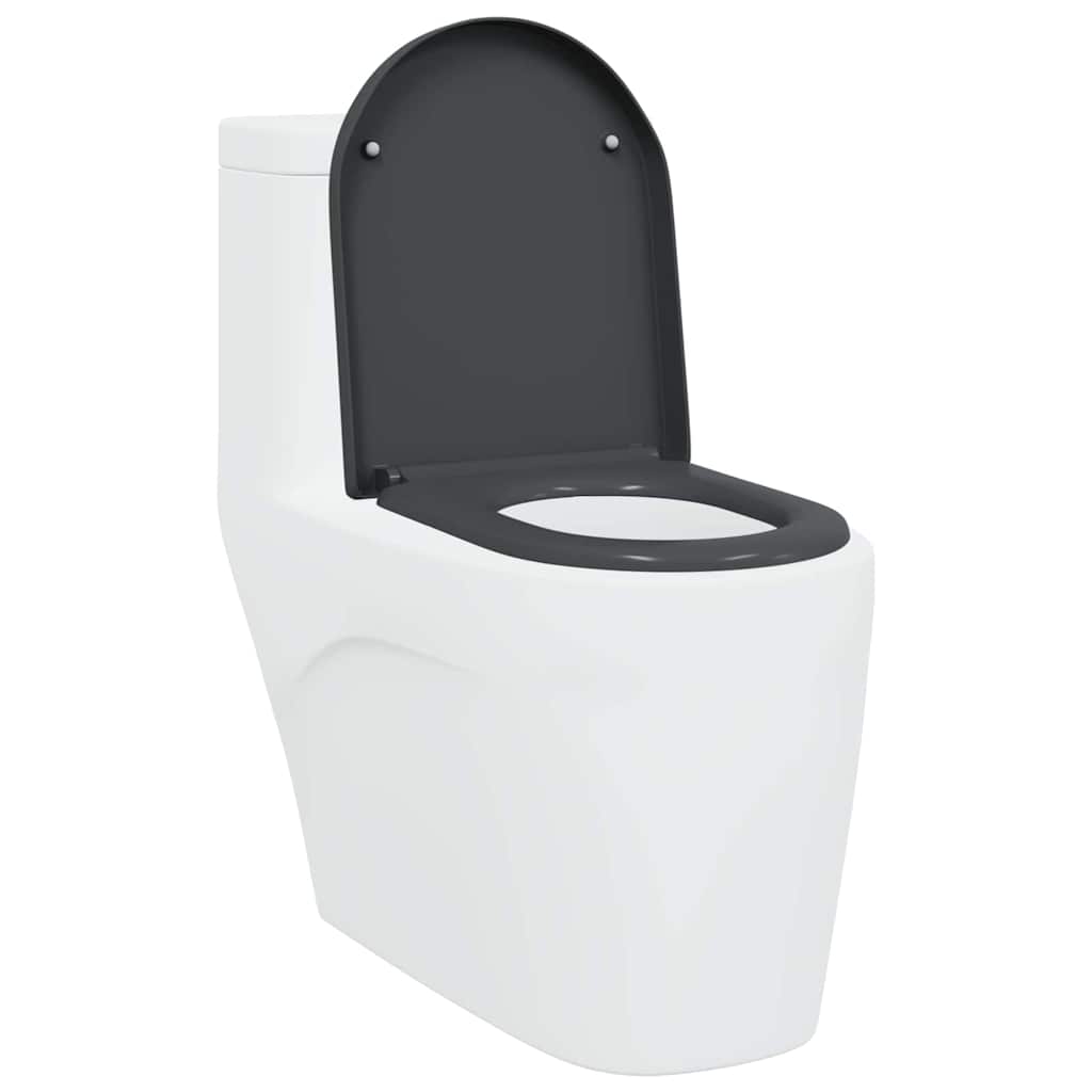 Assento de Toilette de Liberação Rápida Antracite