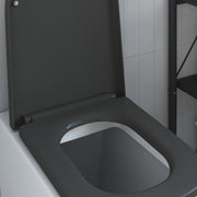 Assento de Toilette de Liberação Rápida Antracite