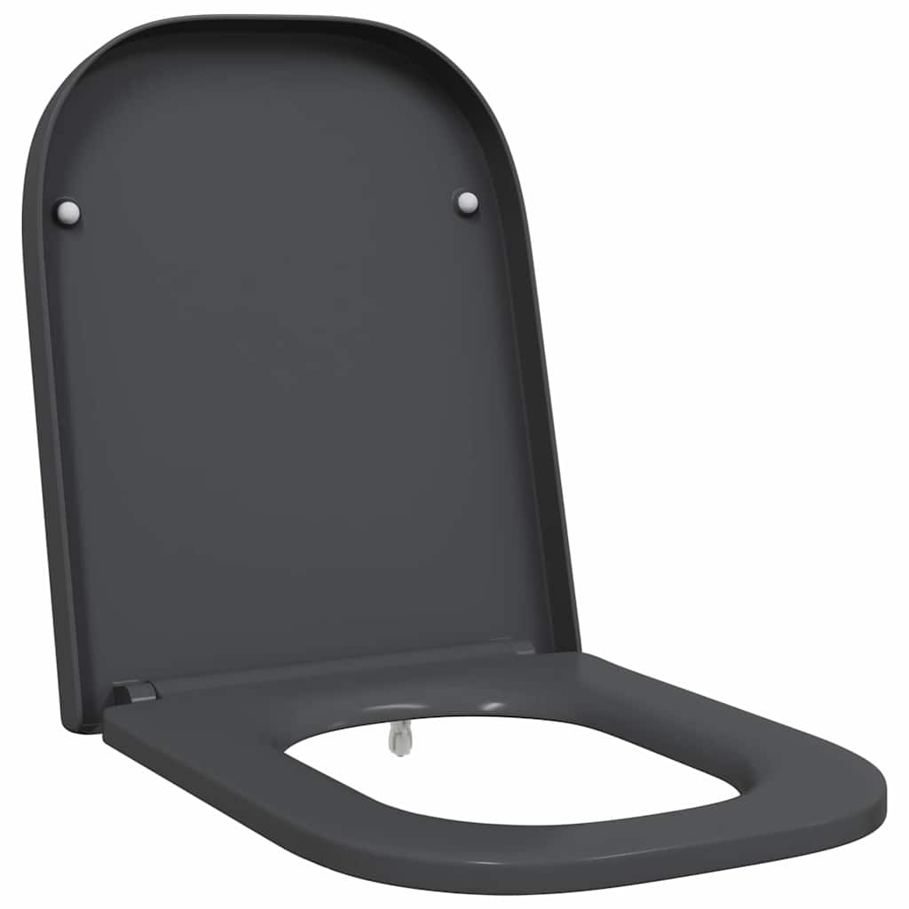 Assento de Toilette de Liberação Rápida Antracite