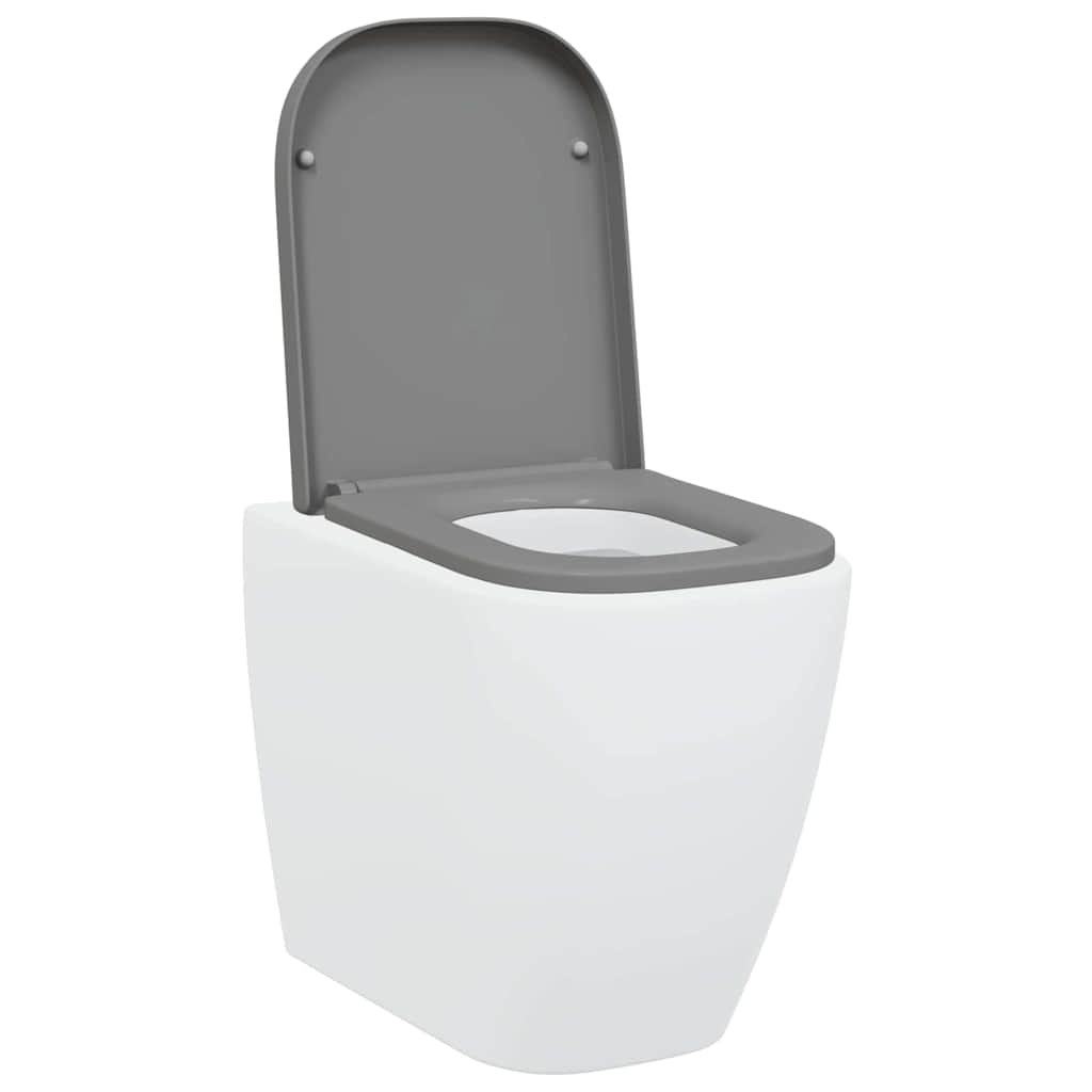 Assento de Toilette de Liberação Rápida Cinzeto